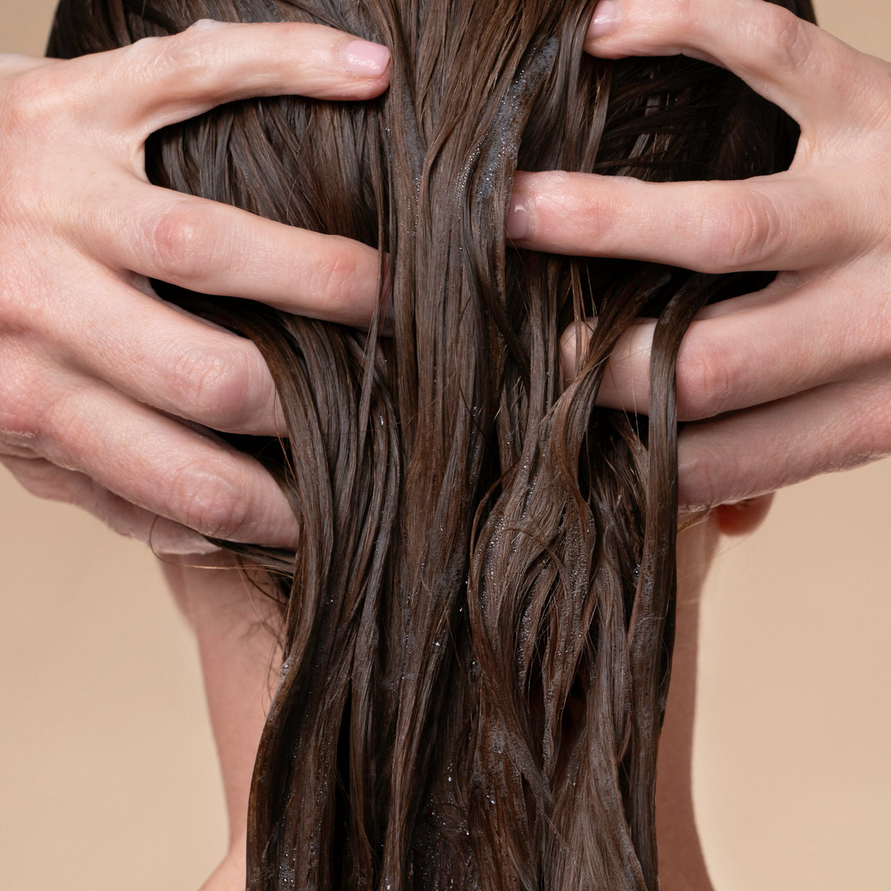 505886-505909-505923-505947-507873-505961-LiquidShampoo-Model-2-1280x1280px_b5f1f5e0-6842-416a-b361-35b74f50f659