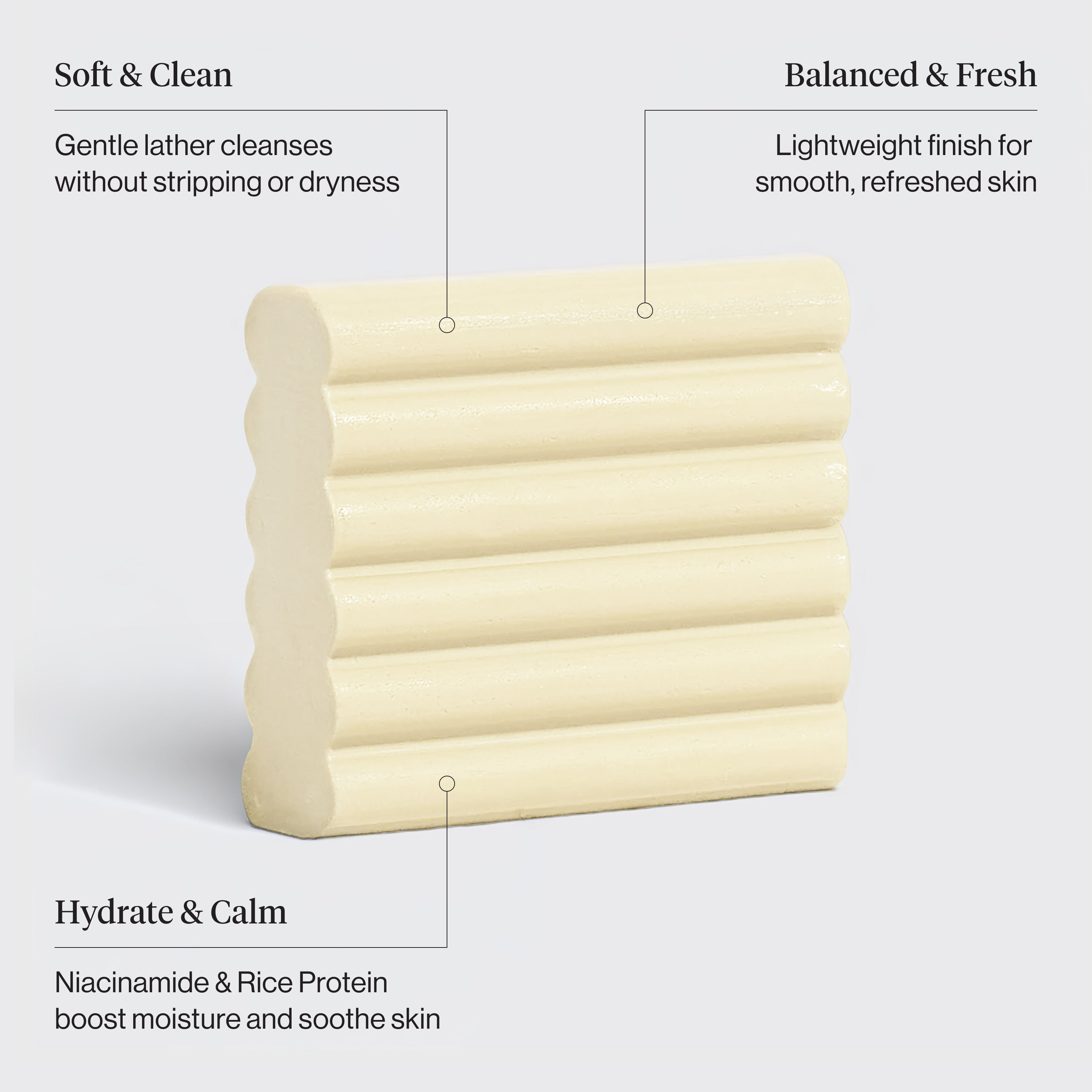 506302_Rice_Water_Protein_Face_Body_Wash_Bar_Infographic