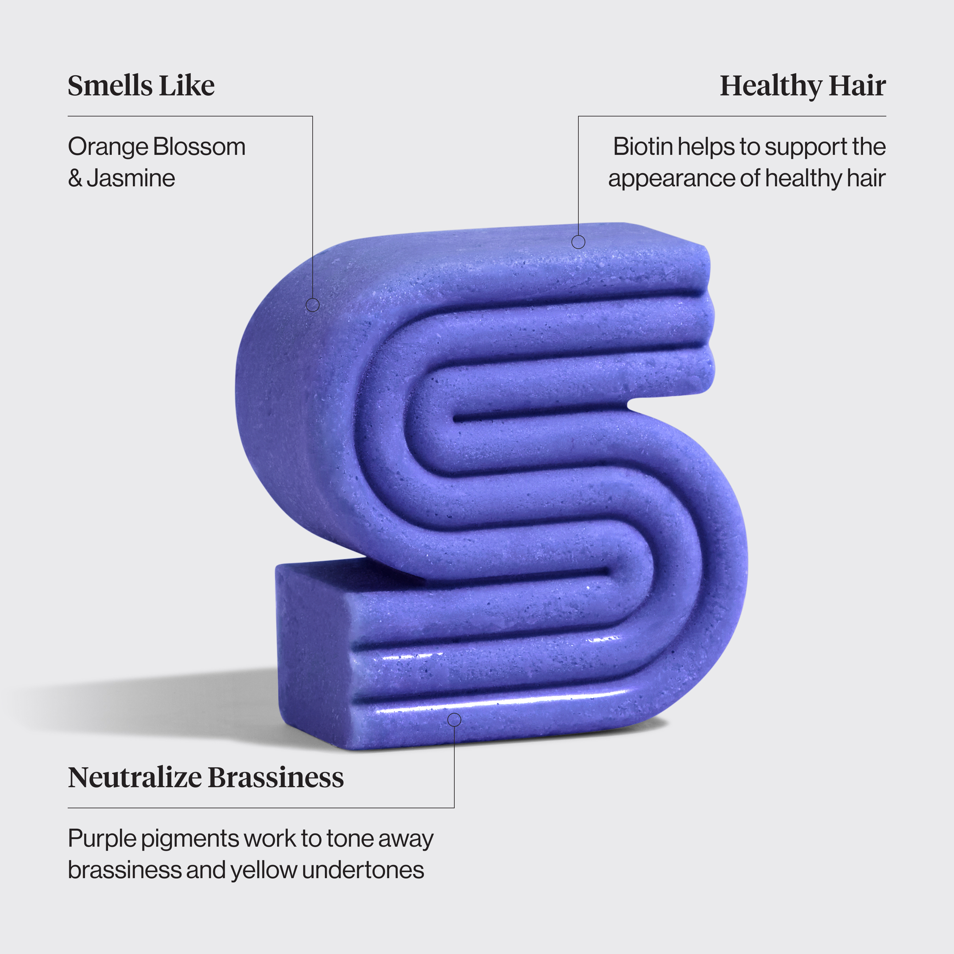 9838-BiotinSolidShampooBar-BottleFreeBeauty-PurpleToning-IngredientFocused-300dpi